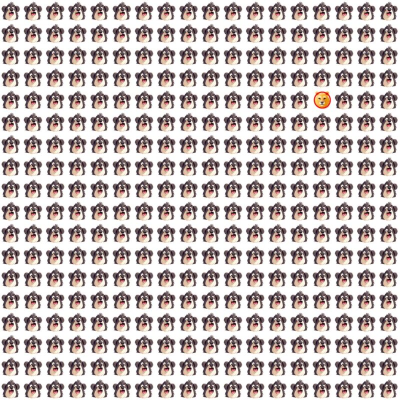 Picture Quiz 8 solution