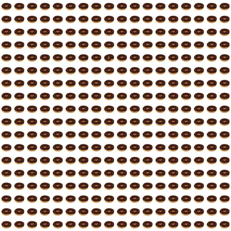 Picture Quiz 8