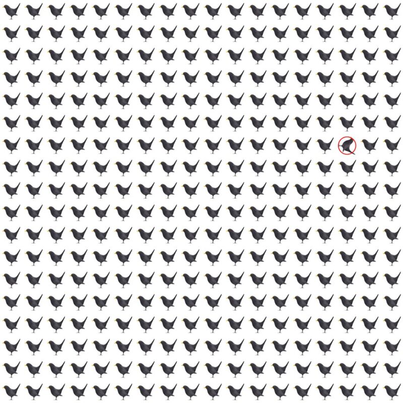 Picture Quiz 8 solution