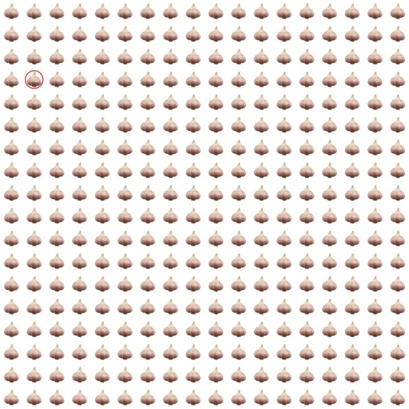 Picture Quiz 8 solution