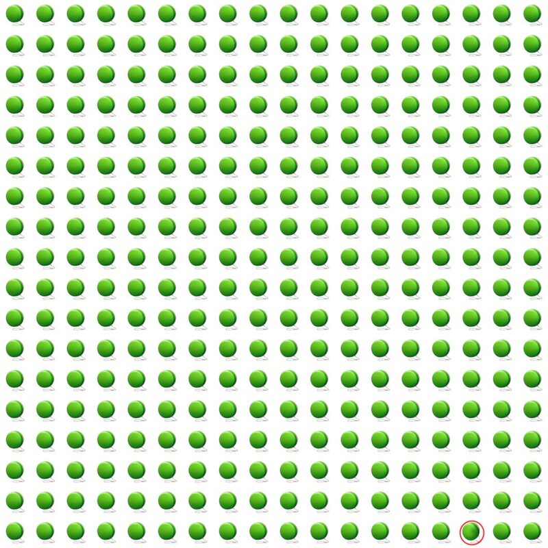 Picture Quiz 8 solution