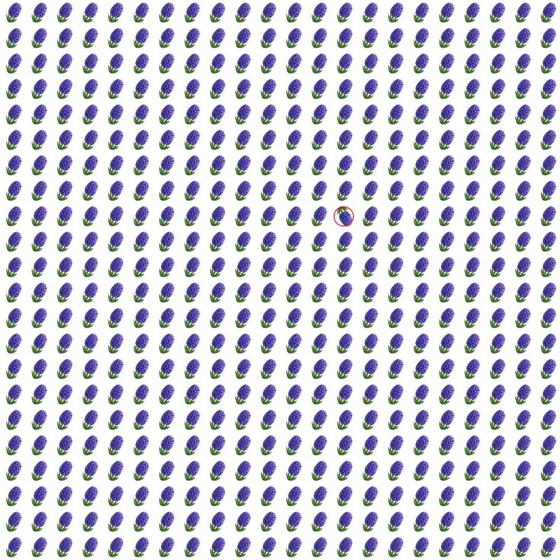 Picture Quiz 9 solution