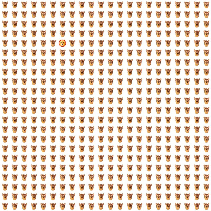 Picture Quiz 9 solution