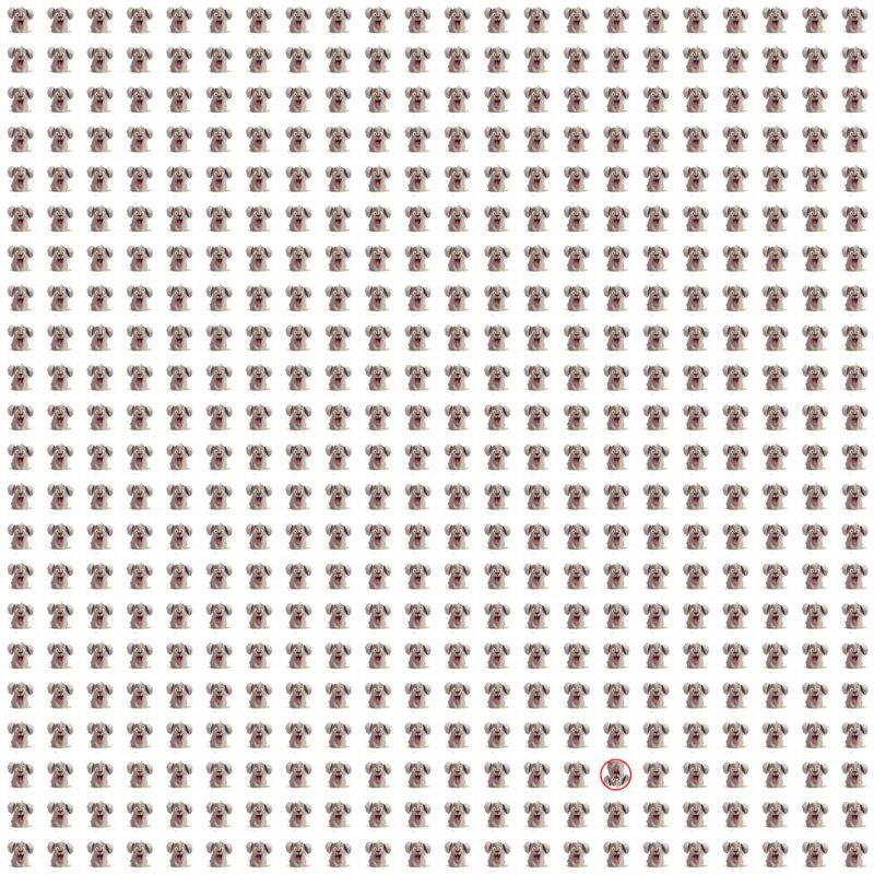 Picture Quiz 9 solution