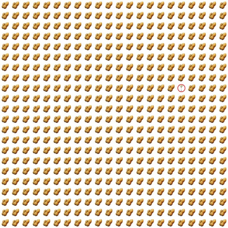 Picture Quiz 9 solution