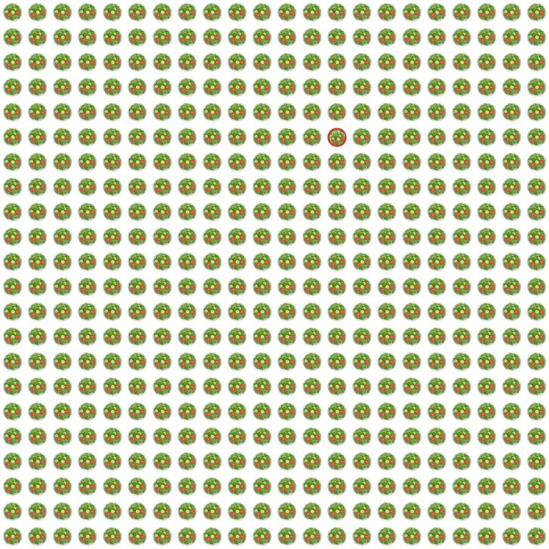 Picture Quiz 9 solution