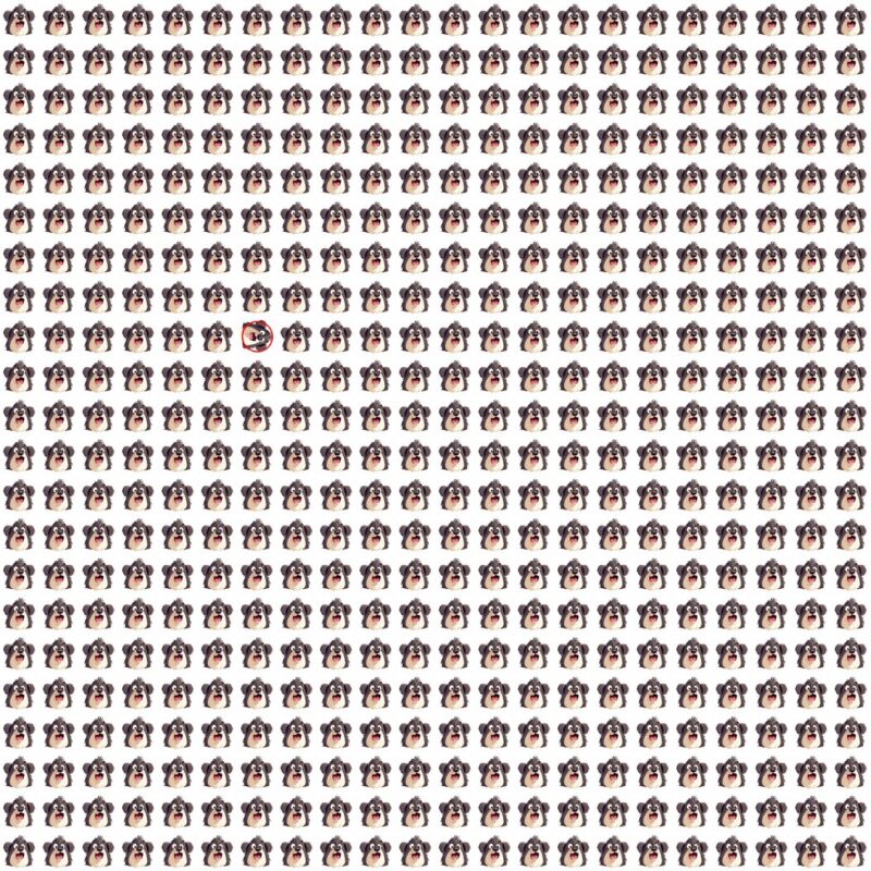 Picture Quiz 9 solution