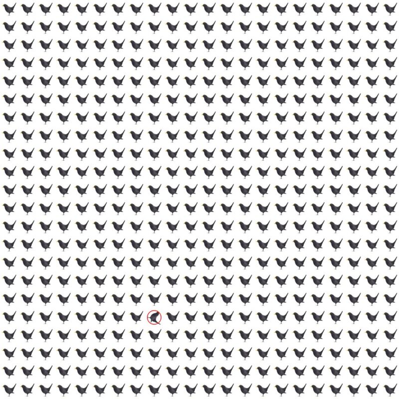 Picture Quiz 9 solution