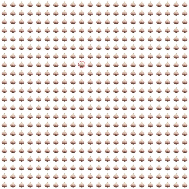 Picture Quiz 9 solution