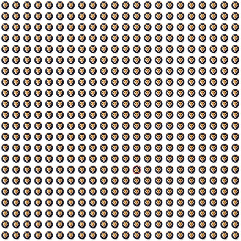 Picture Quiz 9 solution