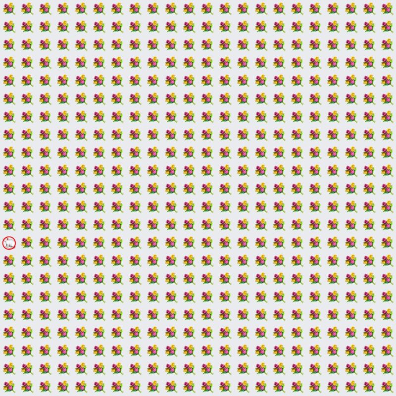 Picture Quiz 9 solution