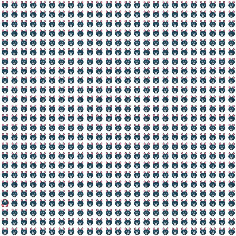 Picture Quiz 10 solution