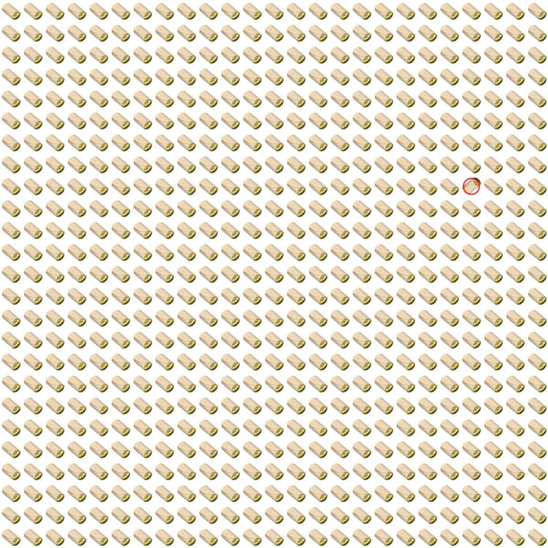 Picture Quiz 10 solution