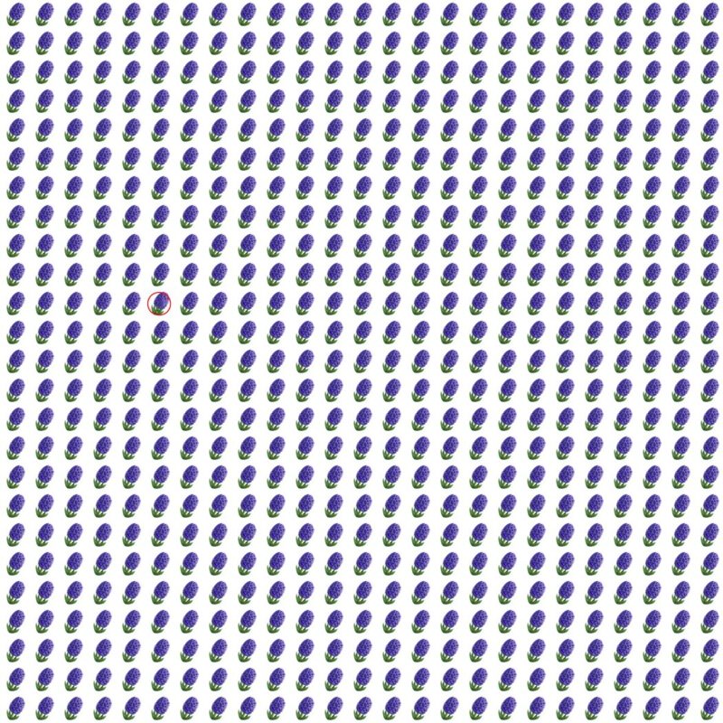 Picture Quiz 10 solution