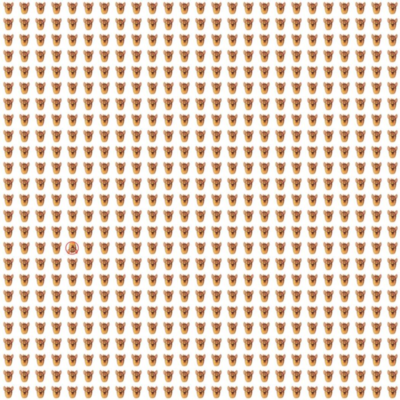 Picture Quiz 10 solution