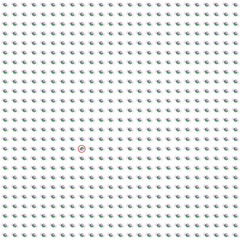 Picture Quiz 10 solution