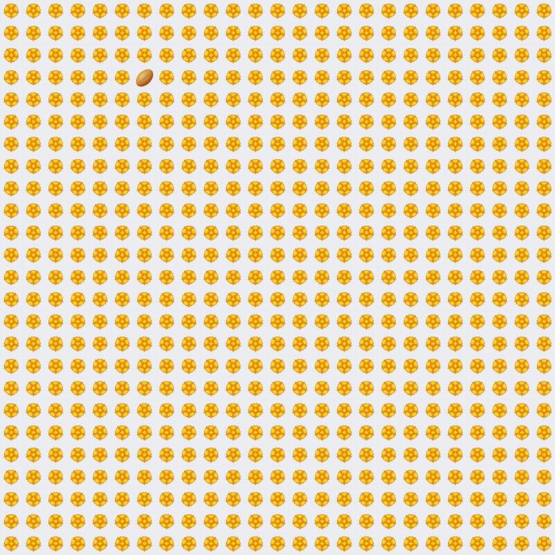 Picture Quiz 10