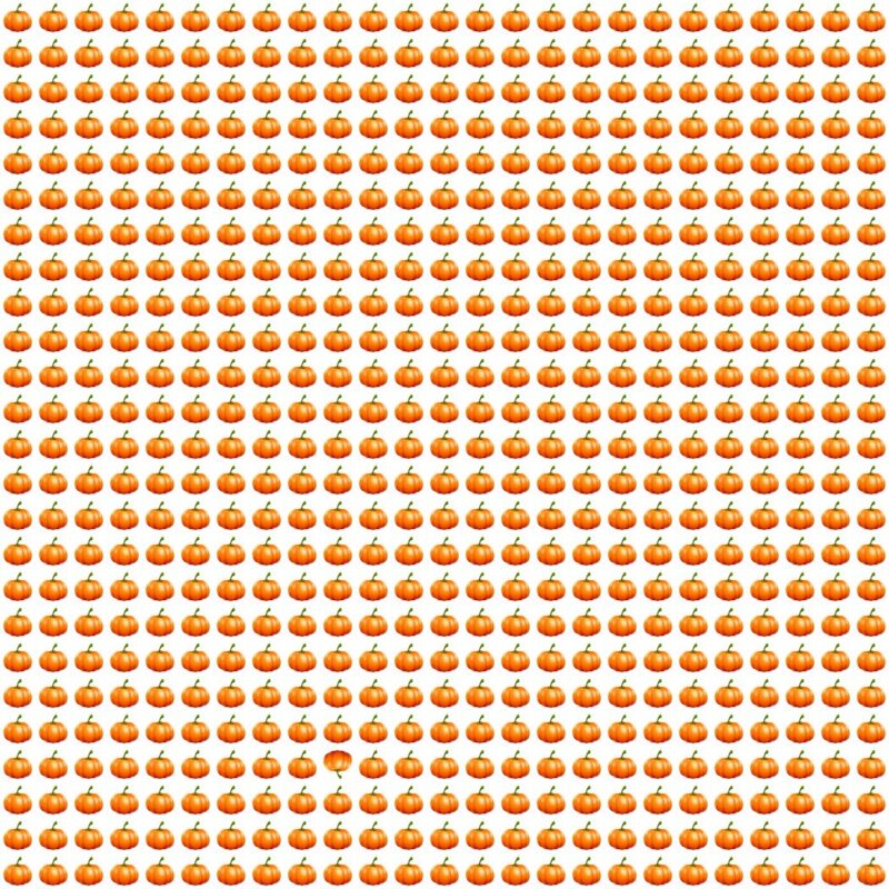 Picture Quiz 10