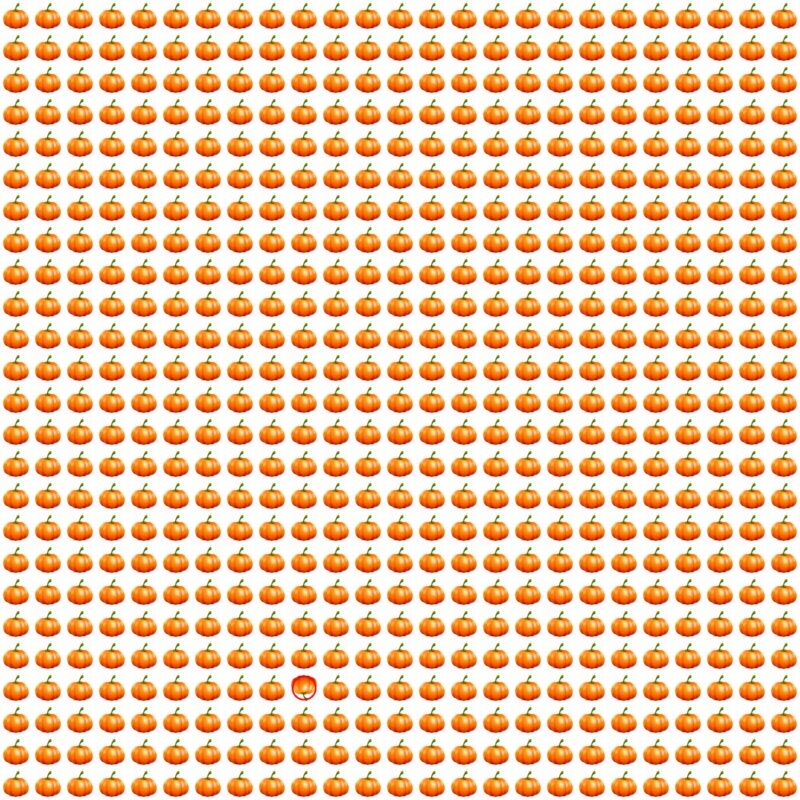 Picture Quiz 10 solution