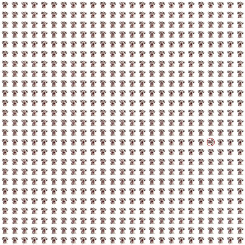 Picture Quiz 10 solution