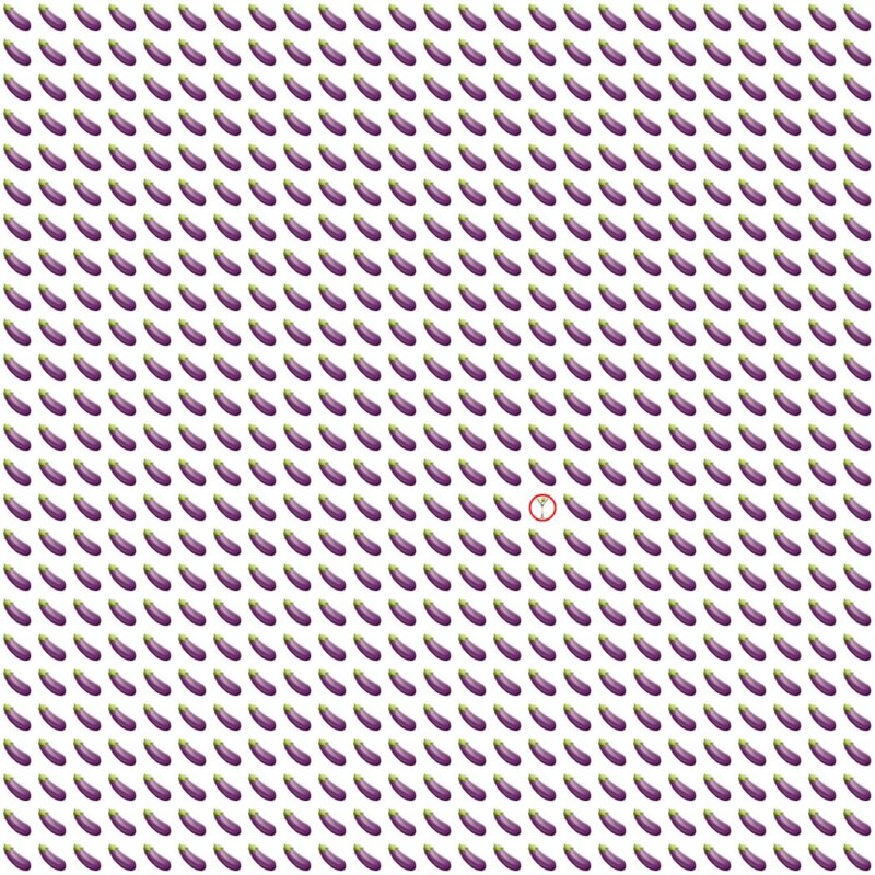 Picture Quiz 10 solution