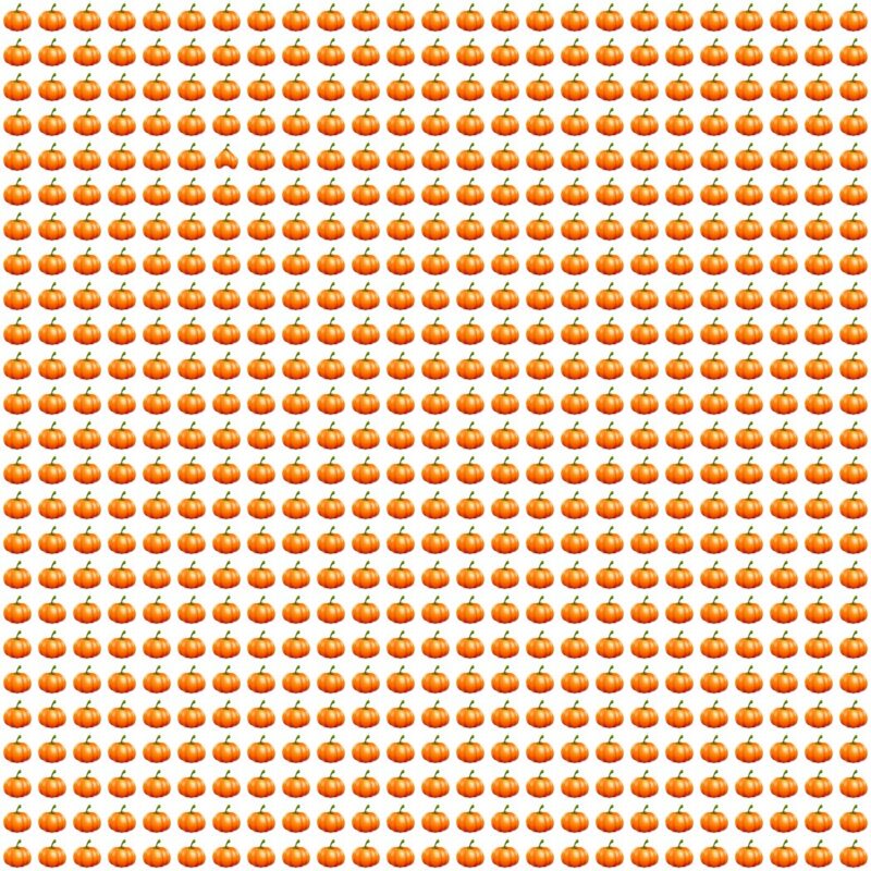 Picture Quiz 10