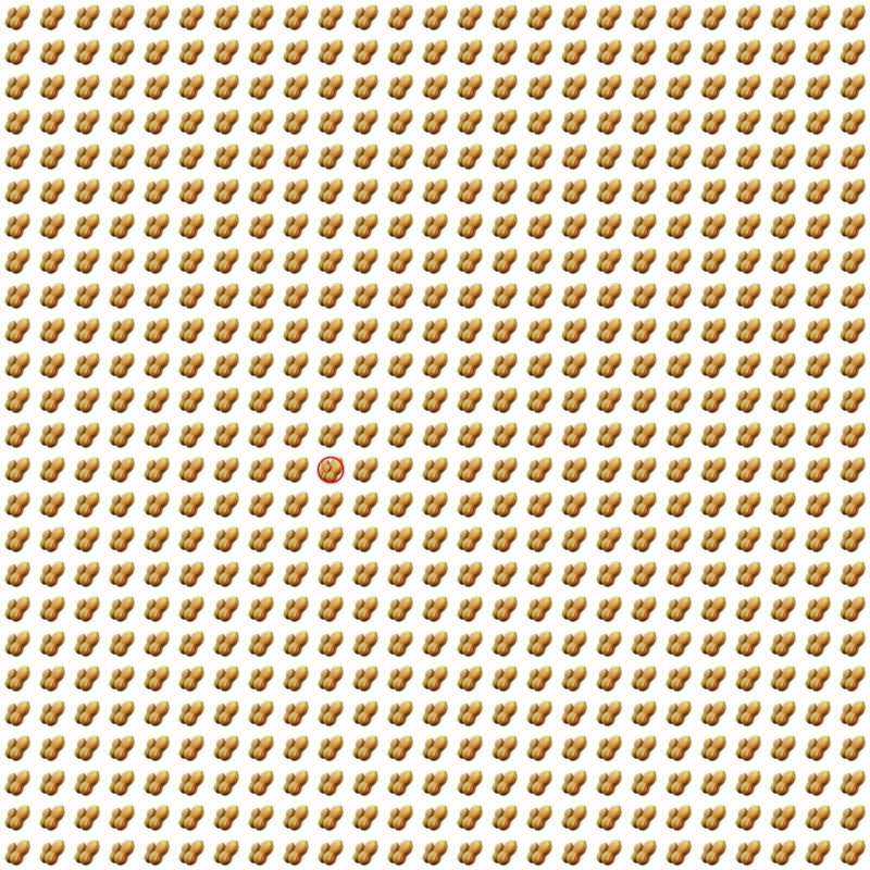 Picture Quiz 10 solution