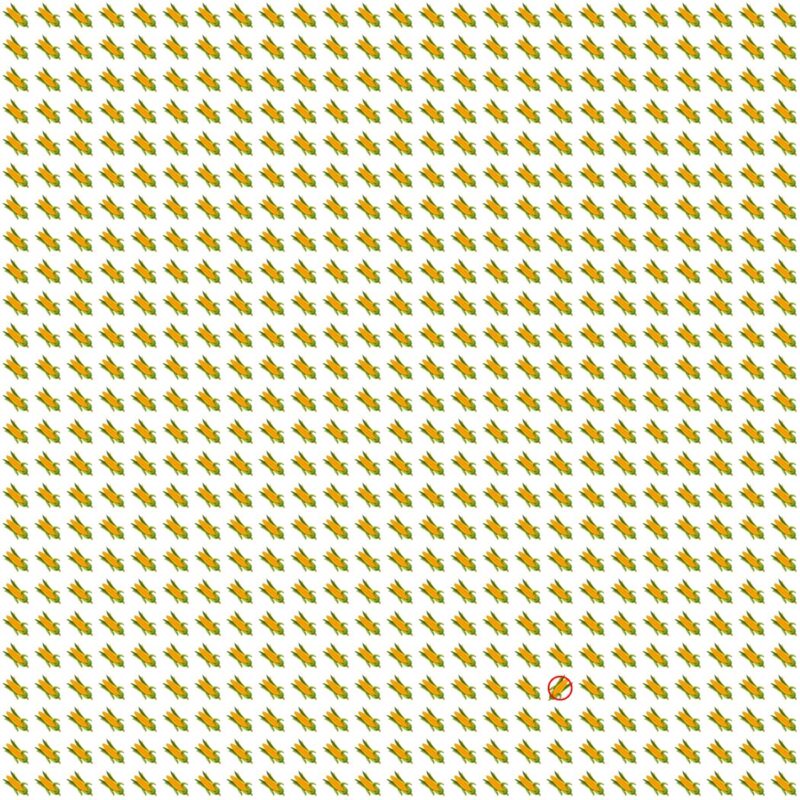 Picture Quiz 10 solution