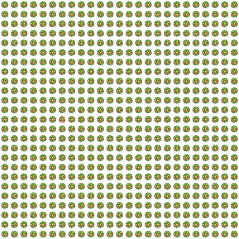 Picture Quiz 10 solution