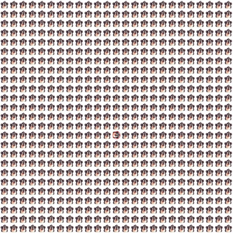 Picture Quiz 10 solution