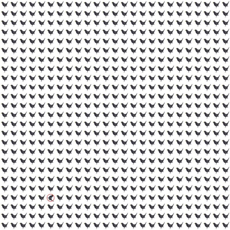 Picture Quiz 10 solution