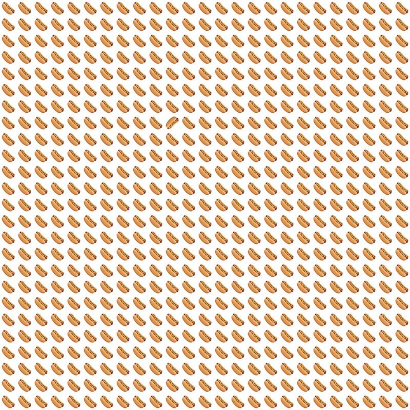 Picture Quiz 10