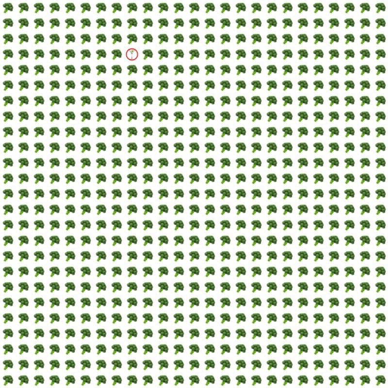 Picture Quiz 10 solution