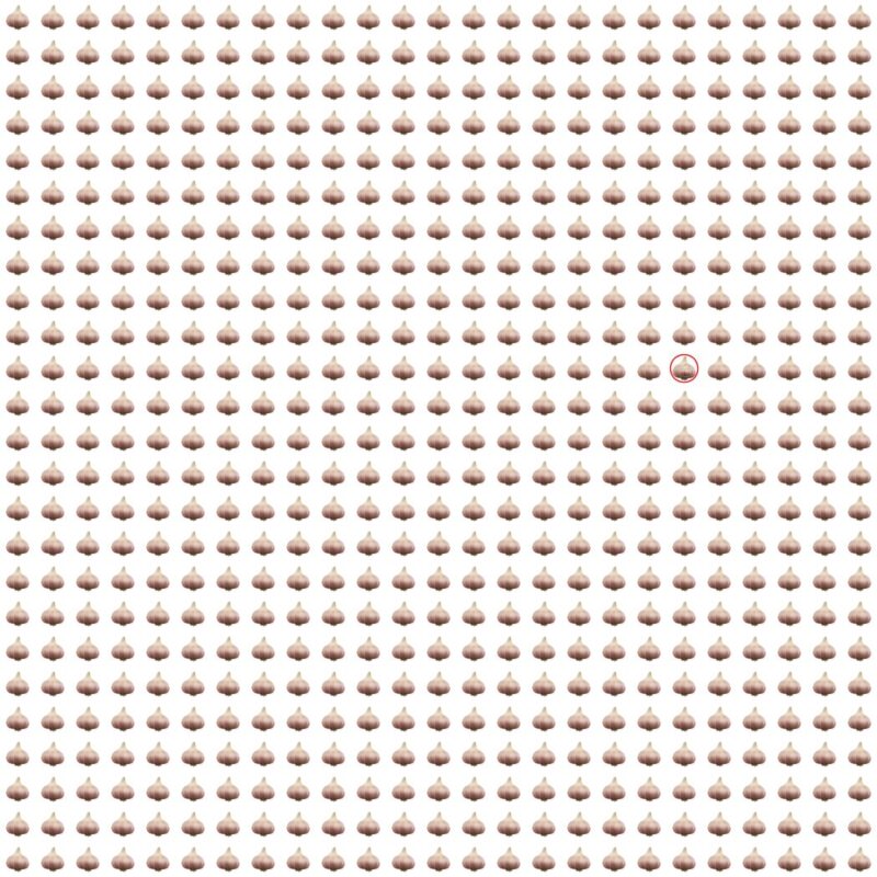 Picture Quiz 10 solution