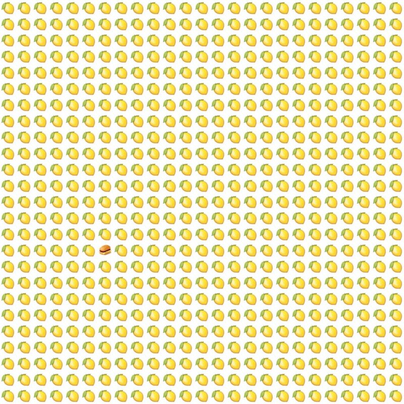 Picture Quiz 10