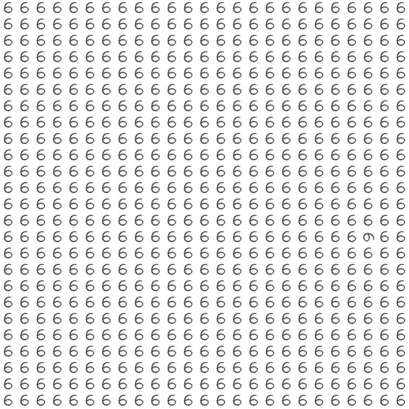 Picture Quiz 10