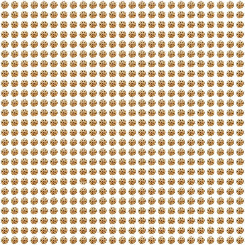 Picture Quiz 10