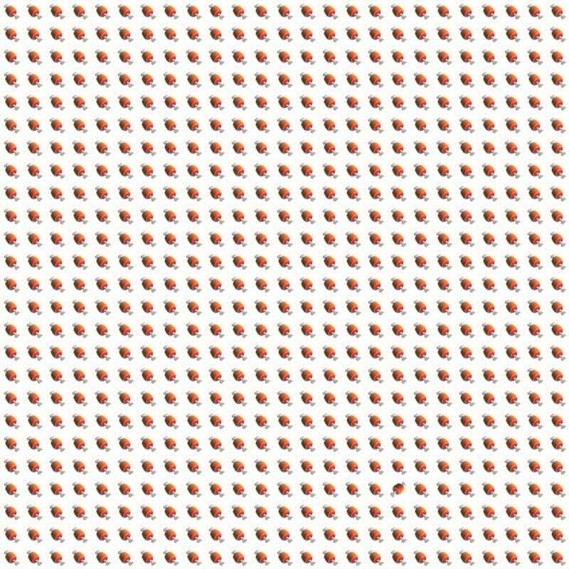 Picture Quiz 10