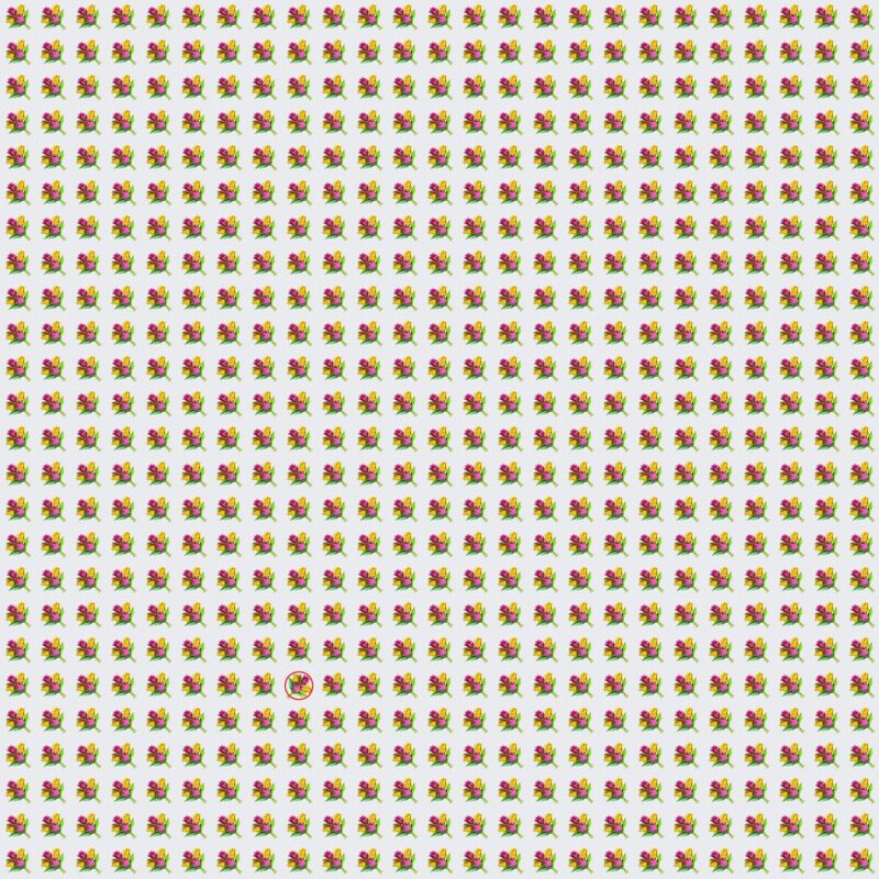 Picture Quiz 10 solution
