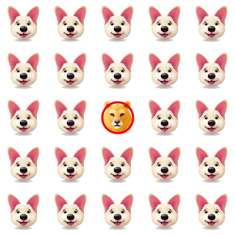 Picture Quiz 1 solution