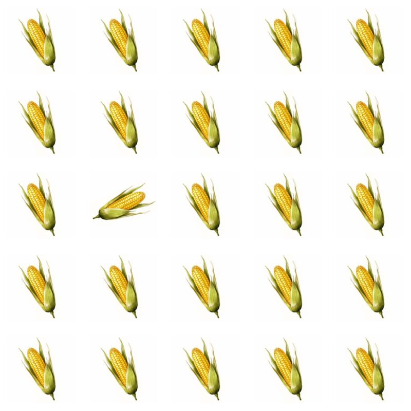 Picture Quiz 1