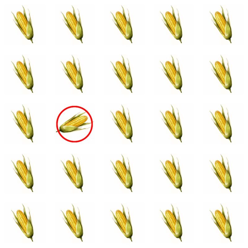 Picture Quiz 1 solution