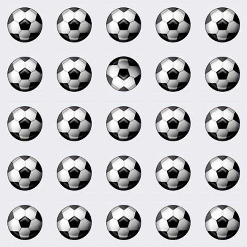 Picture Quiz 1