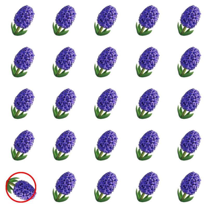 Picture Quiz 1 solution