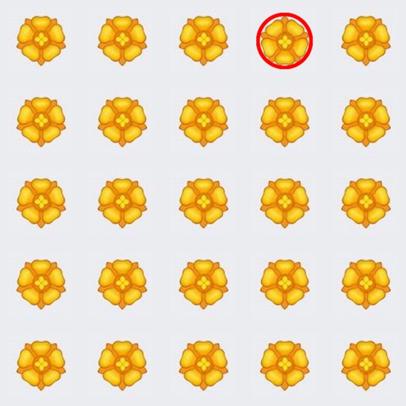 Picture Quiz 1 solution