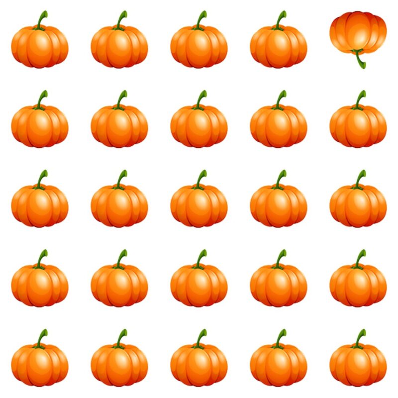 Picture Quiz 1