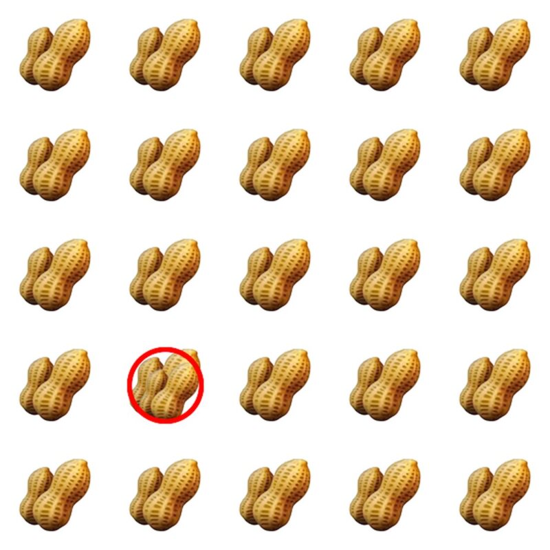 Picture Quiz 1 solution