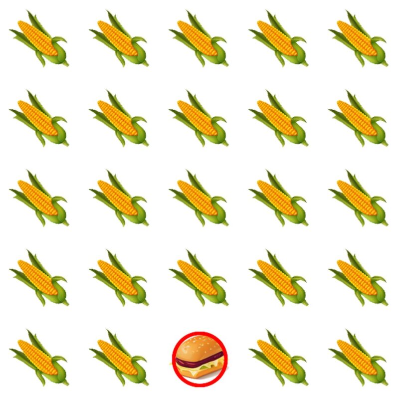 Picture Quiz 1 solution