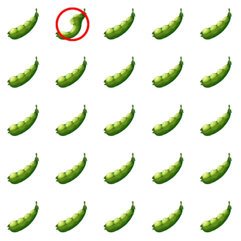 Picture Quiz 1 solution