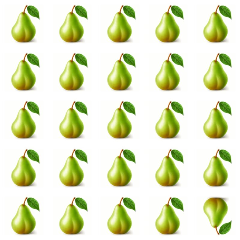 Picture Quiz 1